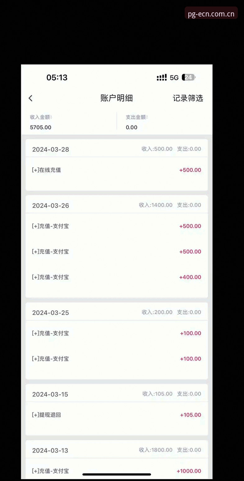 pgdianzi app login评测：流畅体验与繁琐验证的对比分析